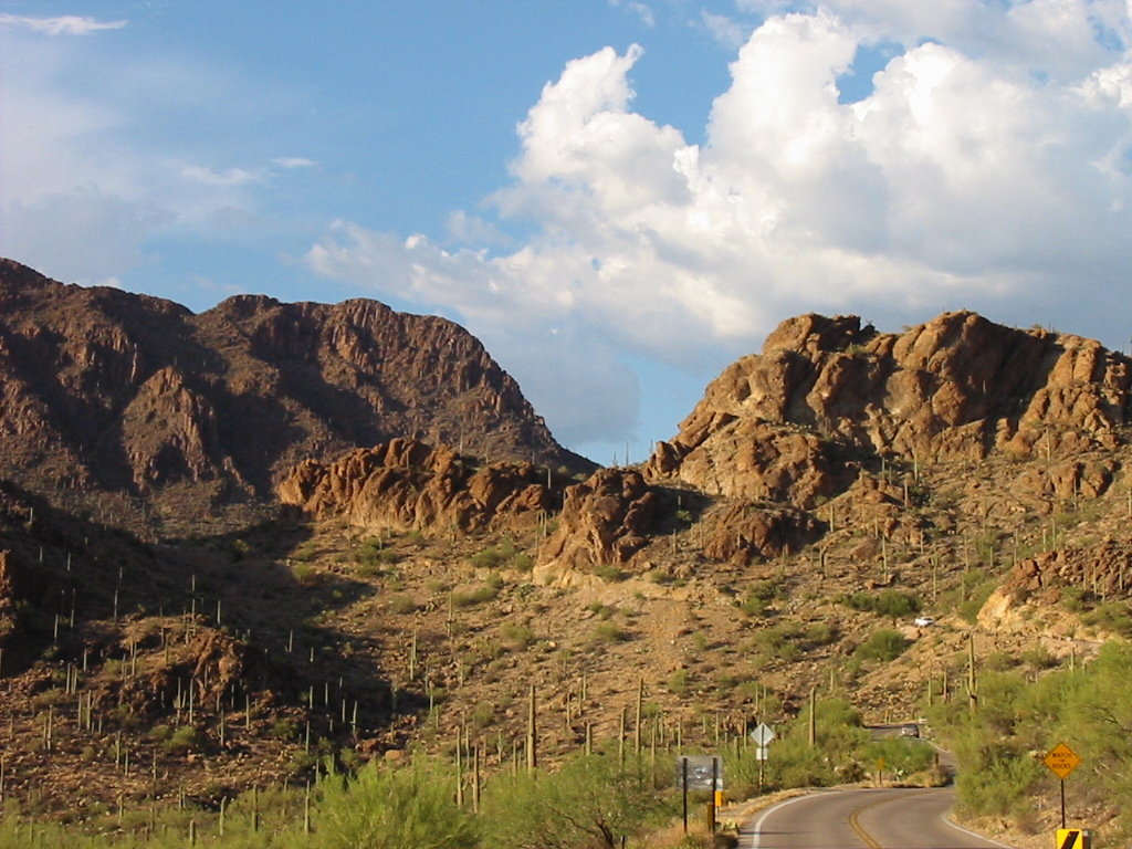 Tucson, AZ: Tucson Mt.Park-Tucson AZ.