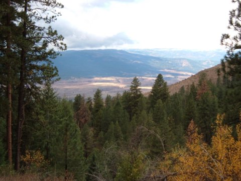 Council, ID: Looking down on the Council Valley from Shingle Flats
