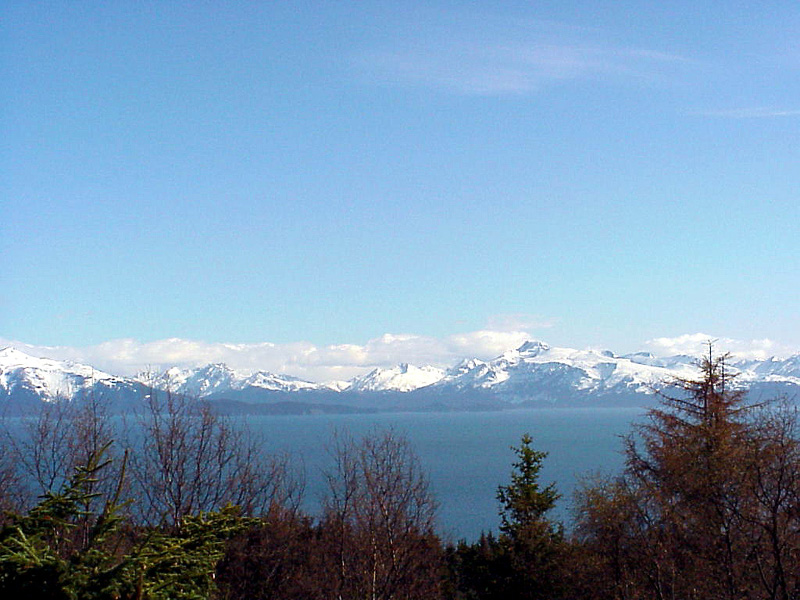 Homer, AK : Homer View