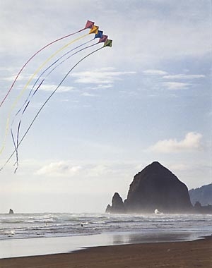 Cannon Beach, OR : Soaring