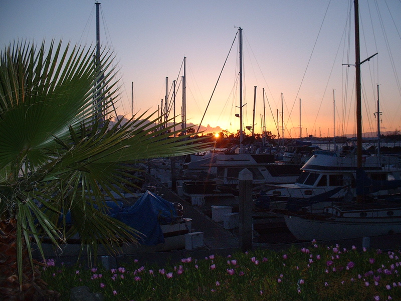 Alameda, CA: An Alameda marina at sunset