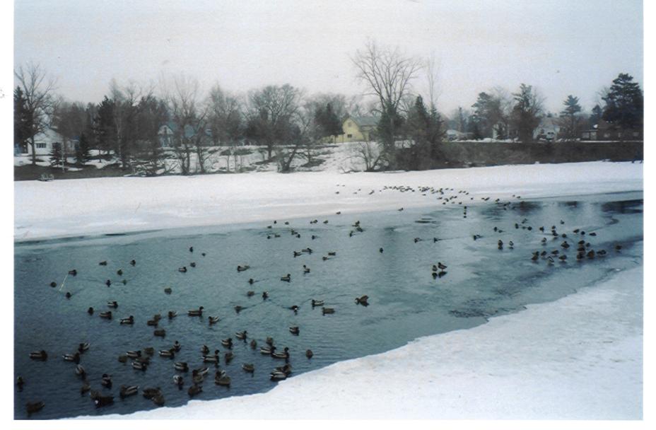 Park Rapids, MN : Fishhook River