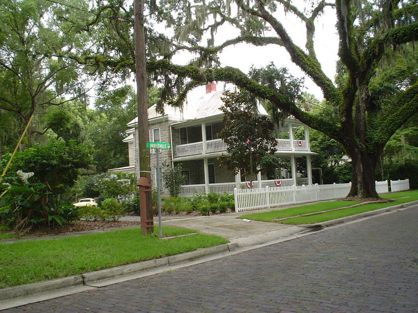 Brooksville, FL: Mossy overhang along Brooksville's cobblestone street.