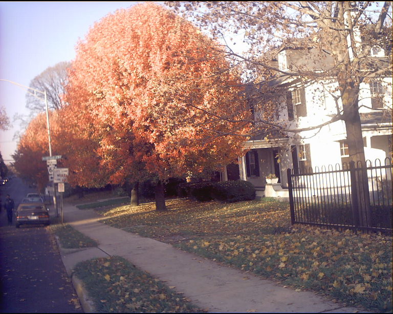 Reading, PA : Autumn on North Fifth Street In Reading