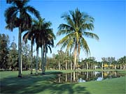 Miami Lakes, FL: Miami Lakes Golf course
