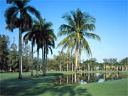 Miami Lakes, FL : Miami Lakes Golf course