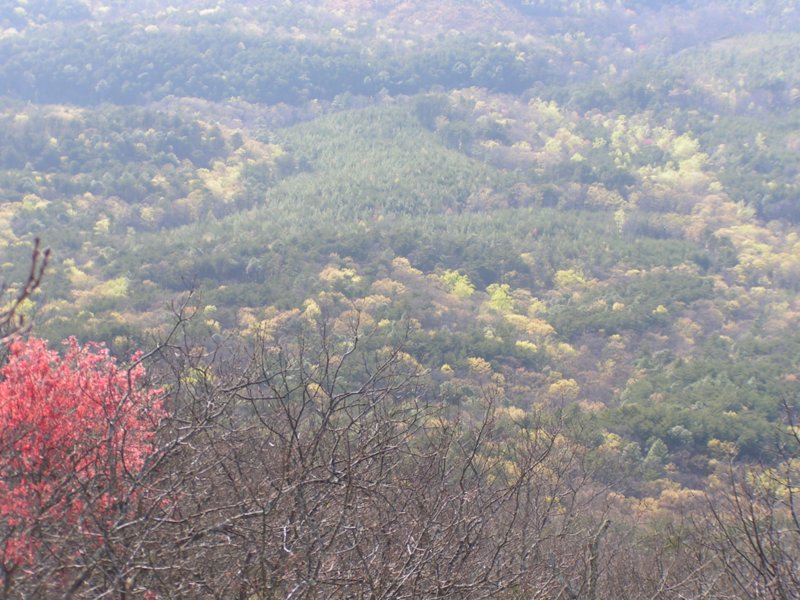 Childersburg, AL : Childersburg  Area 2