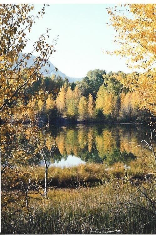 Roslyn, WA : near Roslyn, WA