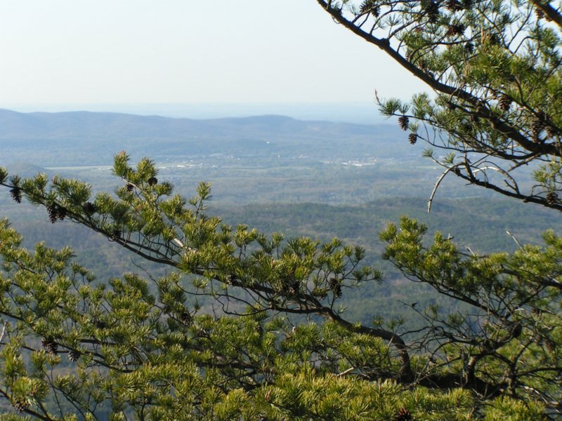 Childersburg, AL : Childersburg  Area 2