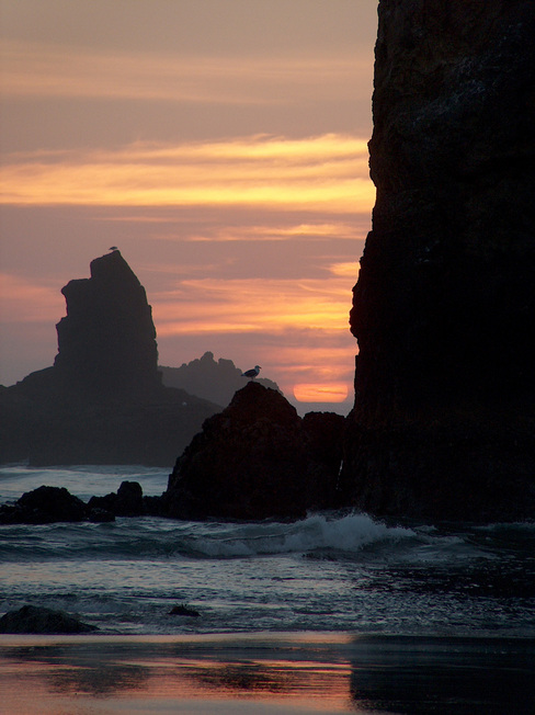 Oceanside, OR : Oregon Coast