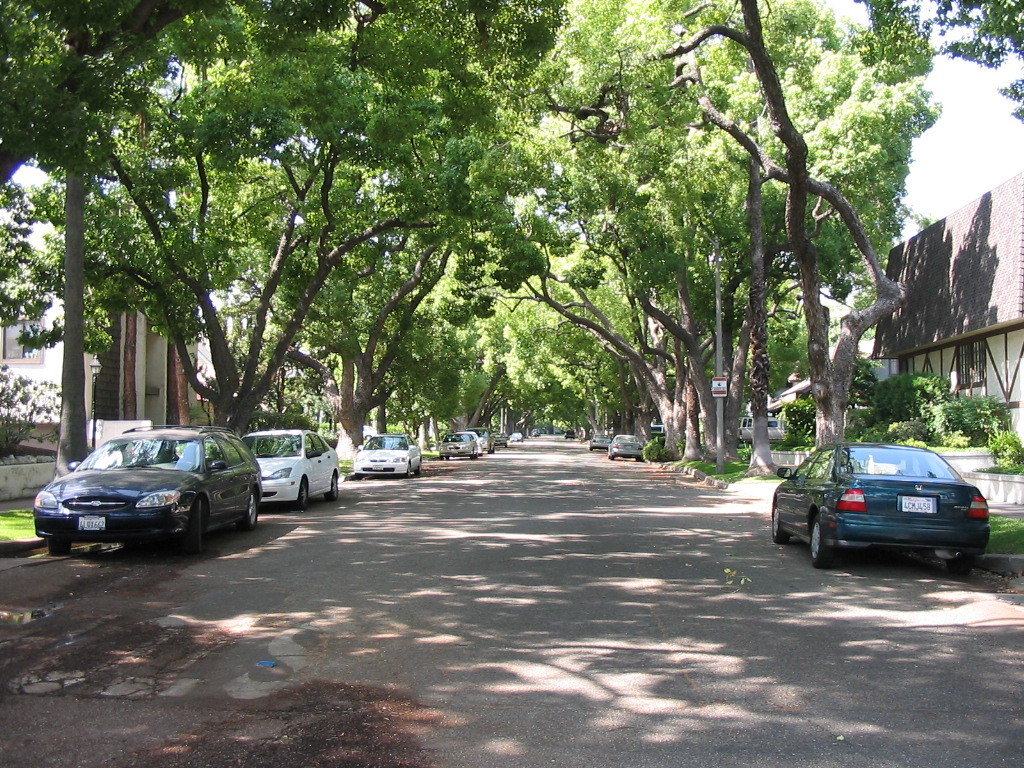 South Pasadena, CA: Shady street of residential neighborhood in South Pasadena, CA