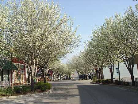 Alachua, FL: Alachua;s Million Dollar Main Street in Spring