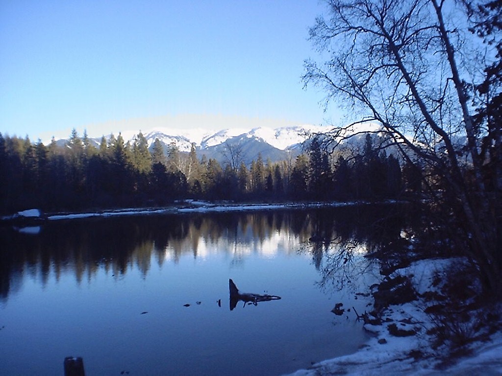 Bigfork, MT : Swan River, Bigfork, Montana photo, picture, image