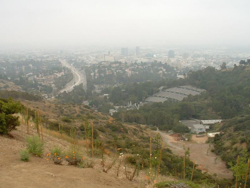 mulholland drive view