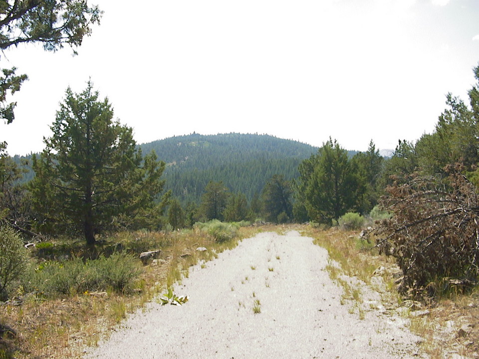 Klamath Falls, OR : A picture of the peaceful Klamath Falls Forest Estate 40 min. from K-Falls