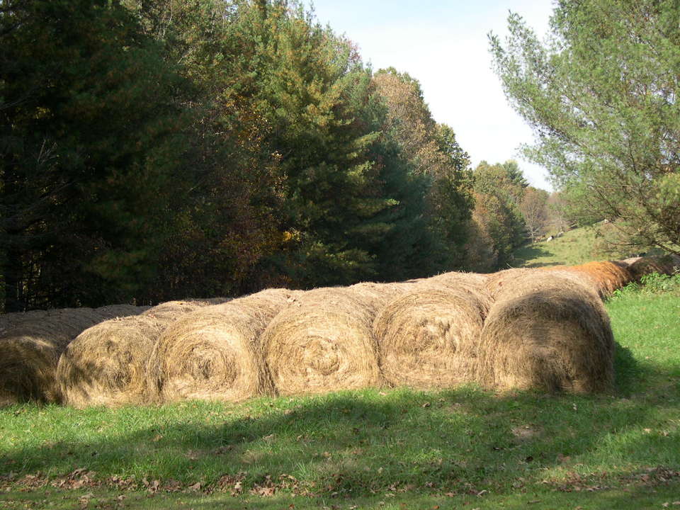 Morganton, GA : Rolled Hay in the Fall on old Hwy 76