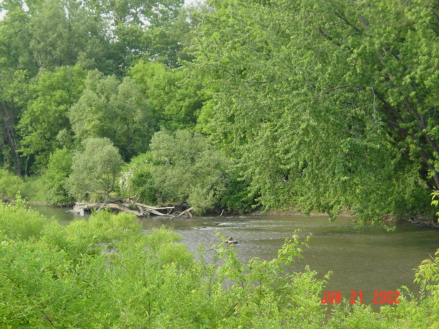 Olean, NY: Creek North Olean 2
