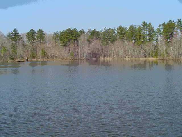 Greenville, GA : Private Lake East of Greenville
