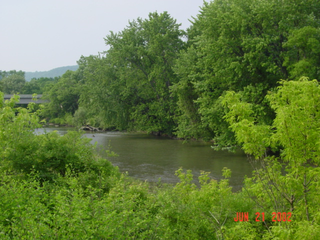 Olean, NY: Creek North Olean