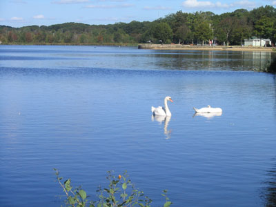Braintree, MA : Sunset Lake