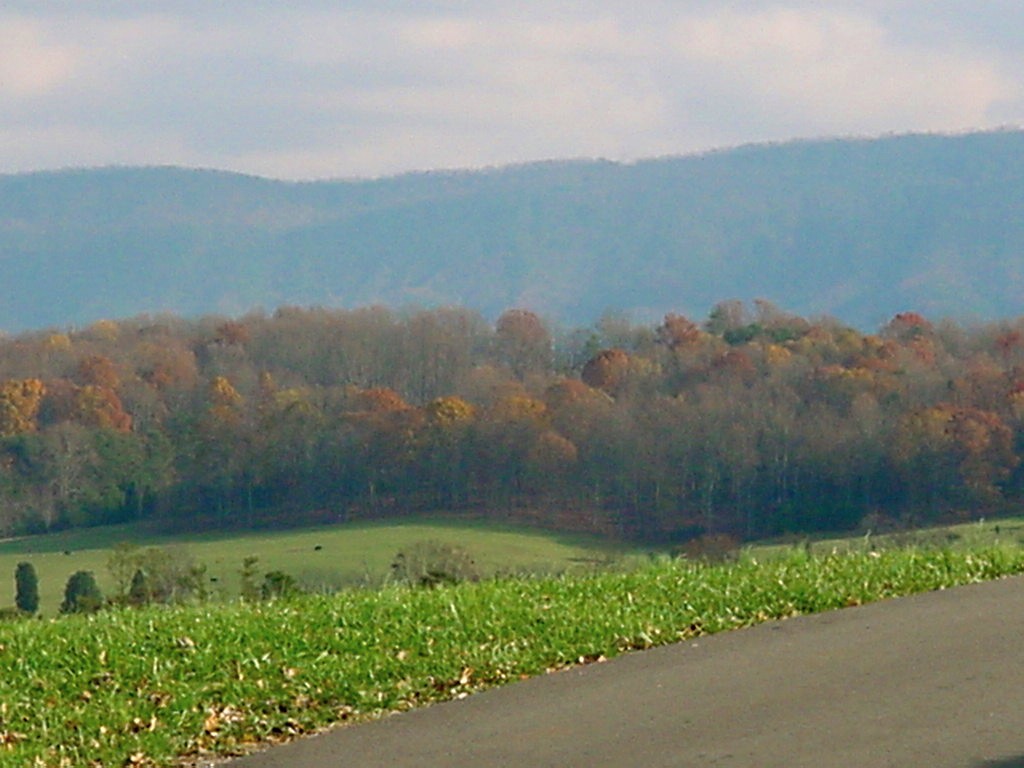 Maryville, TN: scenery down Old Niles Ferry Road, off 411 South