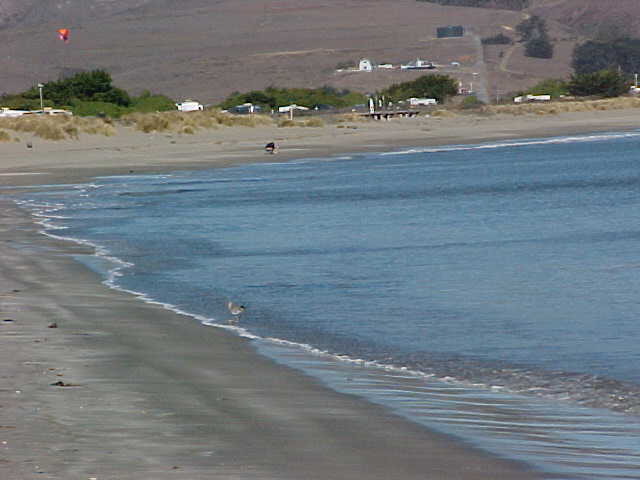 Bodega Bay, CA : The beach at