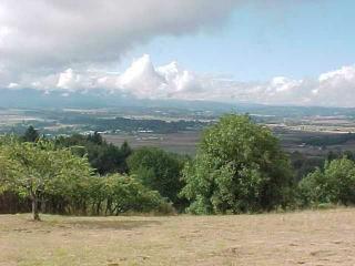 Sheridan, OR : View from TV Tower Road