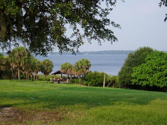 Palm Harbor, FL: View of Lake Tarpon from Anderson Park