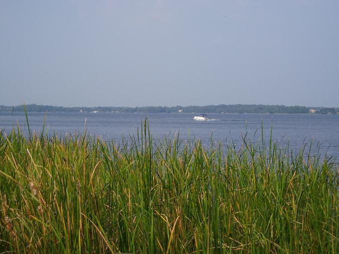 Palm Harbor, FL: Lake Tarpon