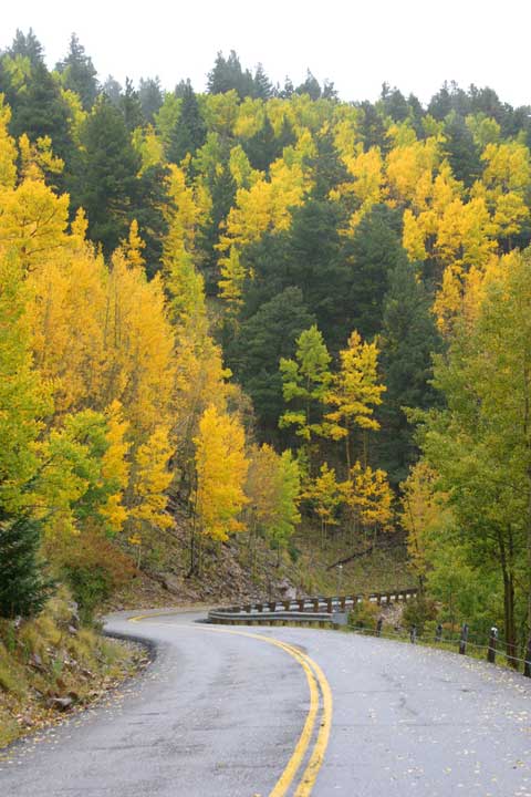 Ruidoso, NM : Ski Run Road in the fall. photo, picture, image (New