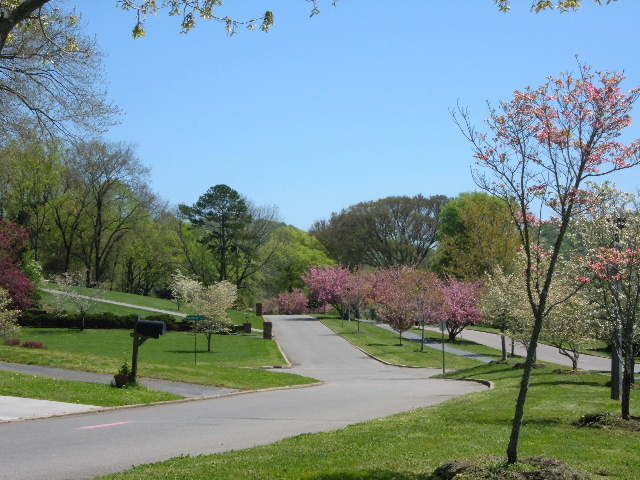 Knoxville, TN : Knoxville, Sequoyah Hills: Cherokee Boulevard photo