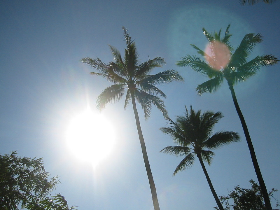 Kailua, HI : Sunny Kailua Day