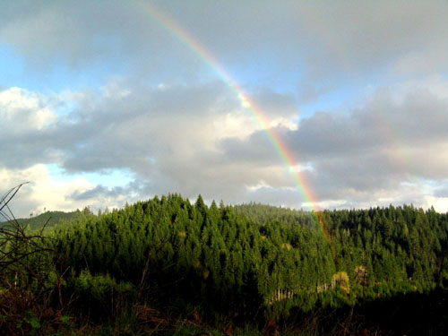 Cottage Grove, OR: rainbow, just west of Cottage Grove