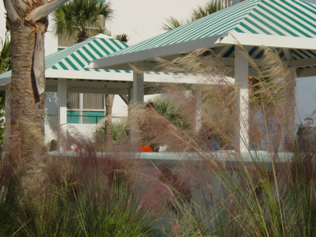 Ormond Beach, FL: Photo showing pavillions at Tom Renik Park