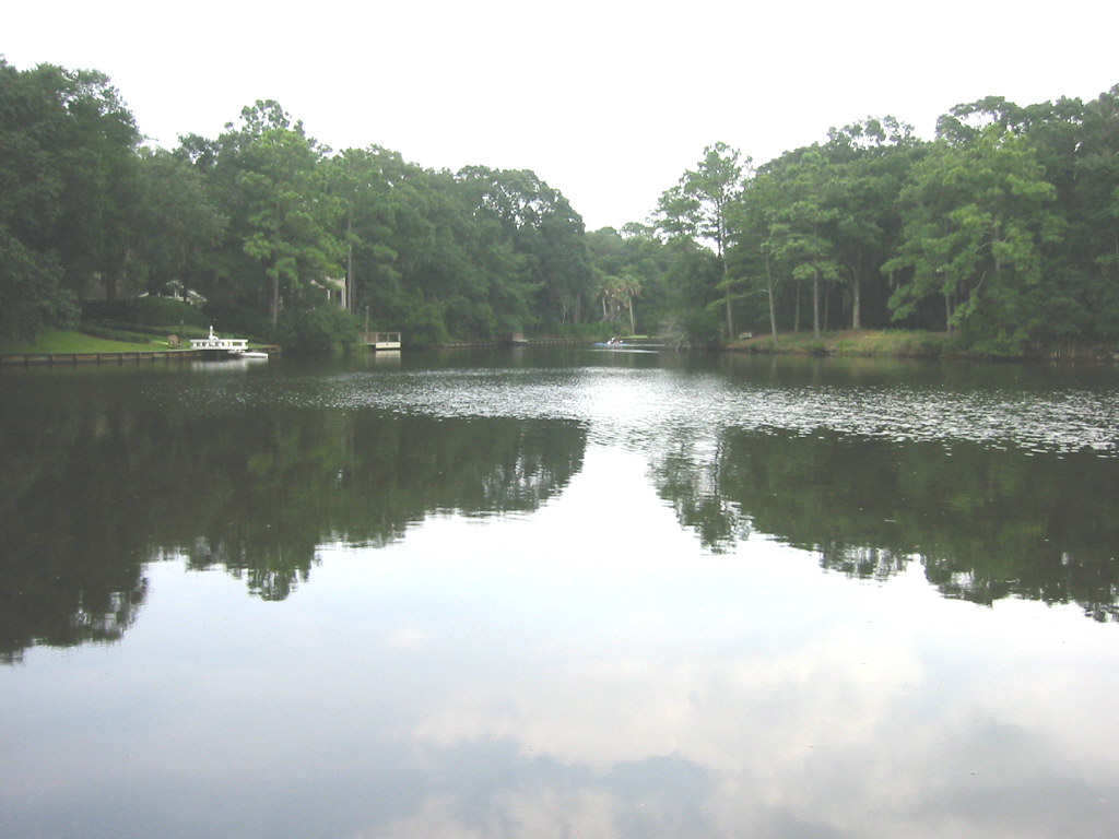 Hilton Head Island, SC : This is our view from our back deck