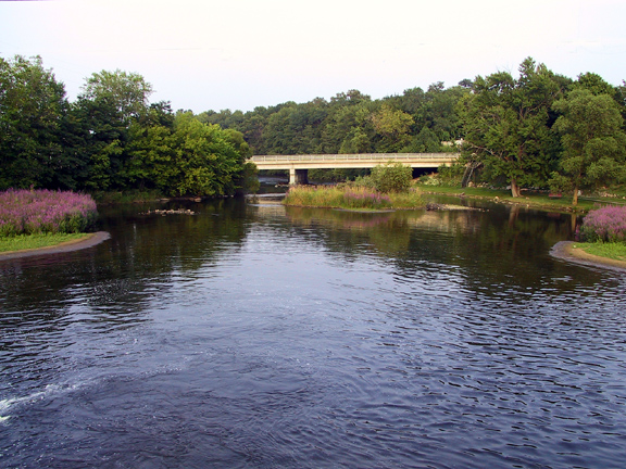 Greenville, MI: Flat River from Franklin Street Dam