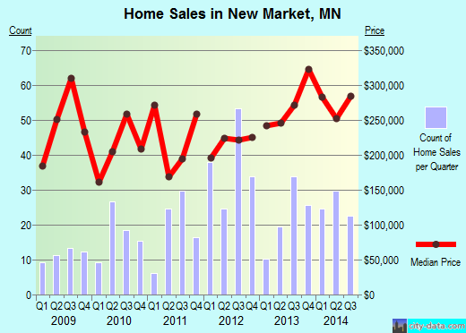 New Market,MN real estate house value index trend