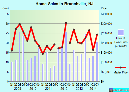 Branchville,NJ real estate house value index trend