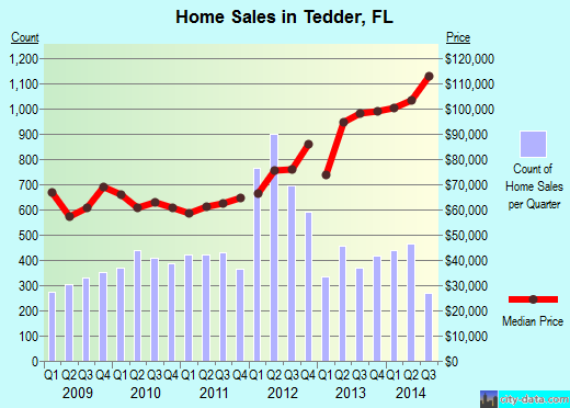 Tedder,FL real estate house value index trend