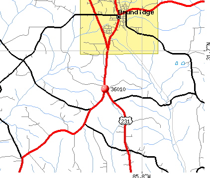 Brundidge, AL (36010) map