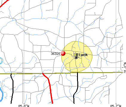 Black, AL (36314) map
