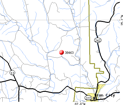 Iron City, TN (38463) map
