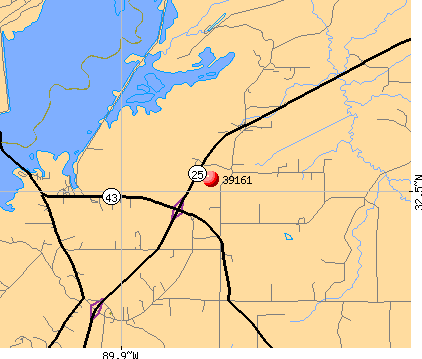 39161 map