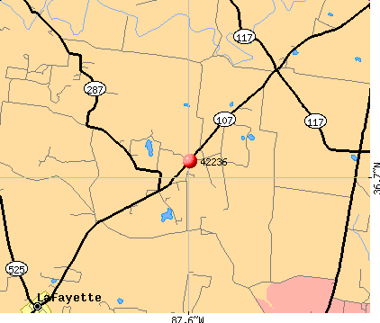 42236 map
