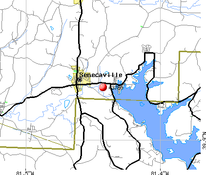 Senecaville, OH (43780) map