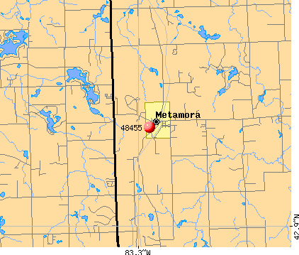 Metamora, MI (48455) map