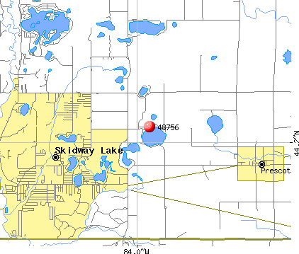 Skidway Lake, MI (48756) map