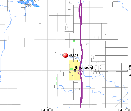 Rosebush, MI (48878) map