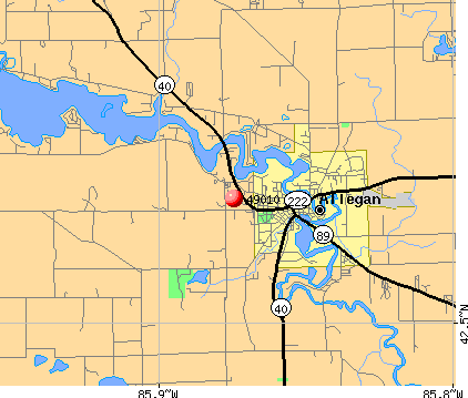 Allegan, MI (49010) map