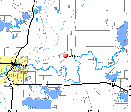 Newaygo, MI (49337) map